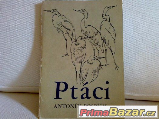 Ptáci,A.Pospíšil-barevné kresby ptáků – fotografie 2