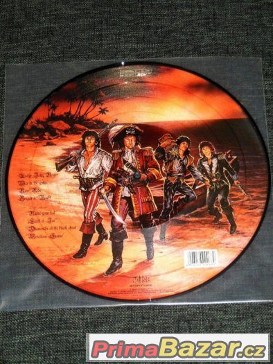 Prodám picture vinyl LP Running Wild ‎– Under Jolly Roger – fotografie 2