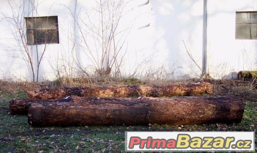 Palivové dřevo - surové kmeny – fotografie 4