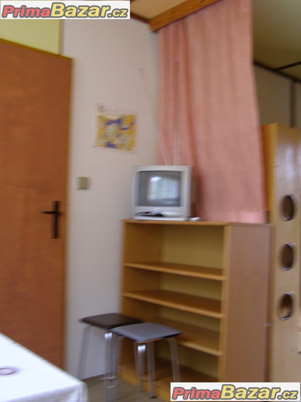 Pronajmu rekr. chytu přímo u vody . jižní čechy – fotografie 6