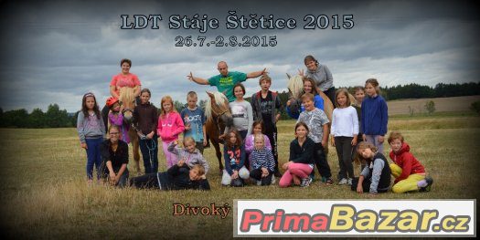 Instruktor k dětem na LDT s koňmi – fotografie 1