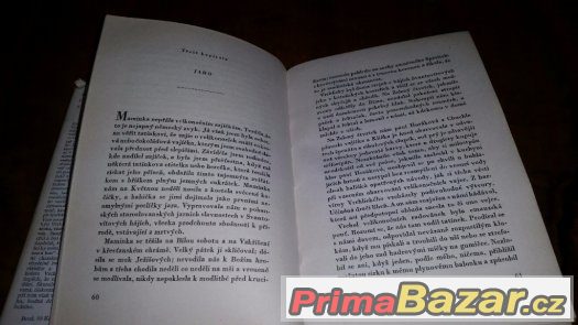Prodám knihu Dětství s Vrchlickým – fotografie 5