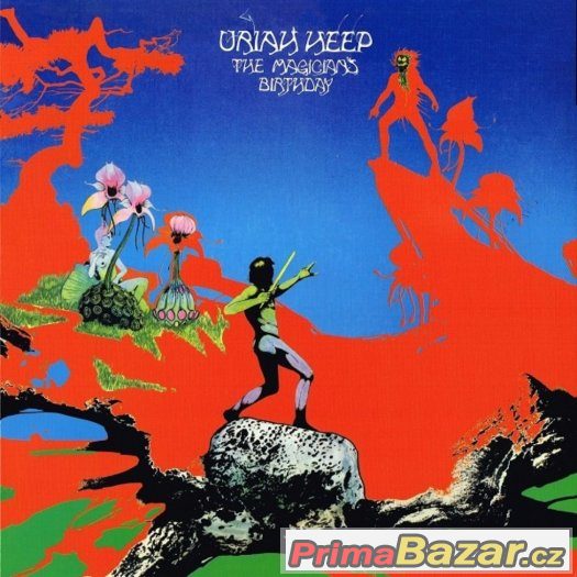 LP:YES,QUEEN,U.HEEP,L.ZEPPELIN,B.SABBATH,D.PURPLE,NICK CAVE, – fotografie 4