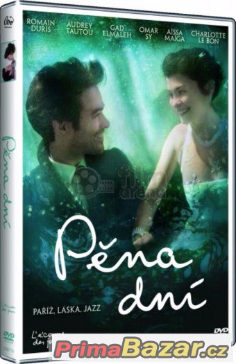Film Pěna dní NOVÝ – fotografie 1