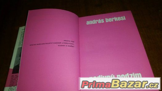 Prodám knihu Podivný podzim – fotografie 3
