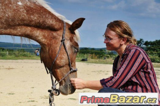 HORSEMANSHIP pro začínající koňáky ;-) – fotografie 2