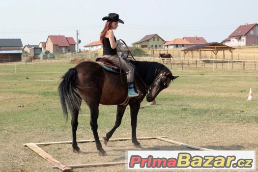 HORSEMANSHIP pro začínající koňáky ;-) – fotografie 5