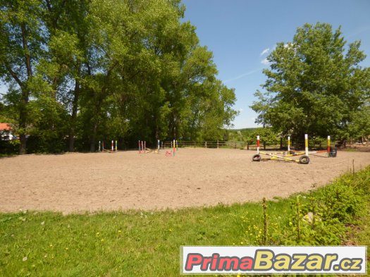 ošetřovatel koní , správce areálu -Kroměřížsko – fotografie 3