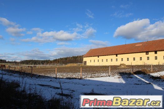 Nabízím ustájení – fotografie 3