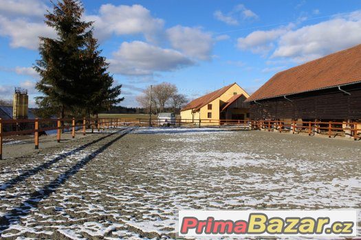 Nabízím ustájení – fotografie 4