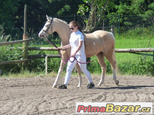 exclusivní nabídka pro náročné – fotografie 1