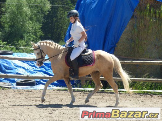 exclusivní nabídka pro náročné – fotografie 2