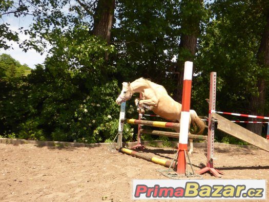 exclusivní nabídka pro náročné – fotografie 3