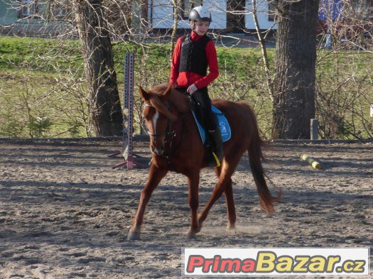 Perspektivní a 100% charakterní – fotografie 2
