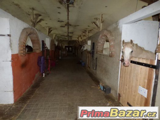 ustájení koní -Kroměřížsko – fotografie 3