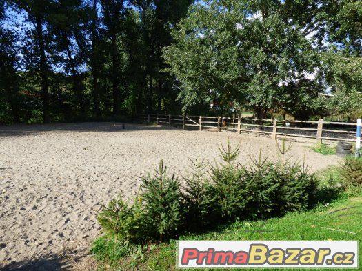 ustájení koní -Kroměřížsko – fotografie 4