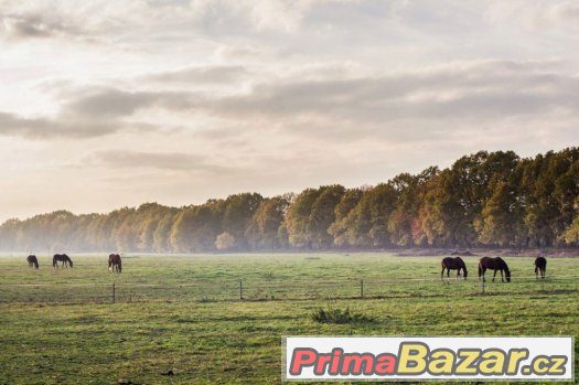 Ustájení v Ostravě – fotografie 2
