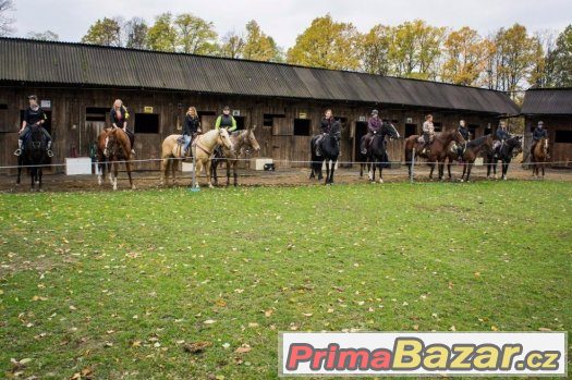 Ustájení v Ostravě – fotografie 3