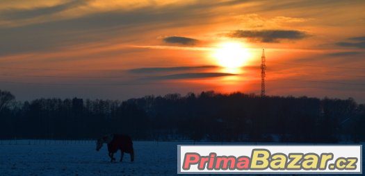 Ustájení v Ostravě – fotografie 4