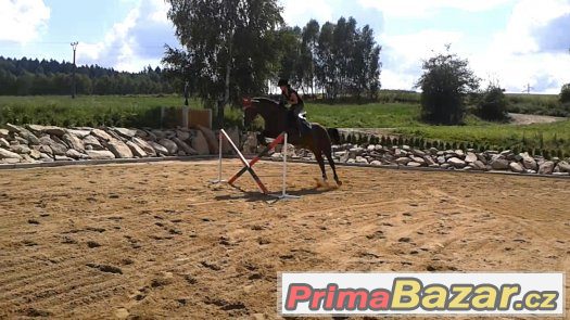 Ustájení v rodinné stáji 2 km u Humpolce – fotografie 4