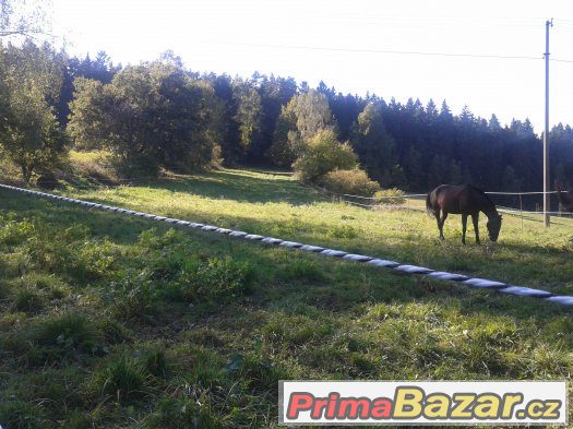 Ustájení v rodinné stáji 2 km u Humpolce – fotografie 5