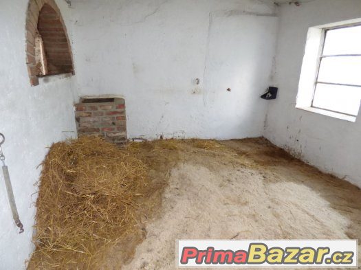 práce , dlouhodobá brigáda u koní -  Kroměřížsko – fotografie 4