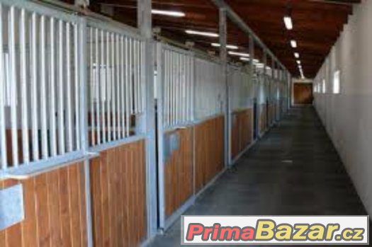 Boxové ustájení koně Brno-venkov – fotografie 1