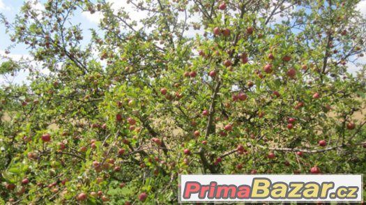 Pozemek pro malý RD 880 m2-rychlé jednání-SLEVA – fotografie 3