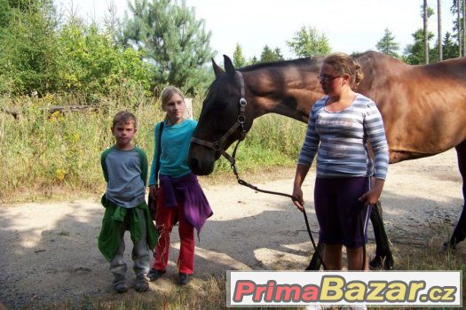 Letní pobytový tábor s koňmi – fotografie 3