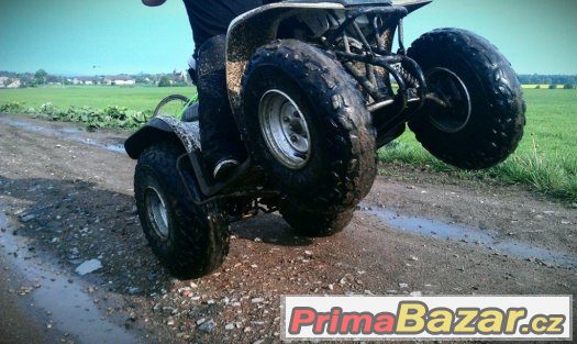 Yamaha Breeze – fotografie 1