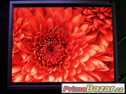 Benq FP93G Q9T5 19" – fotografie 2
