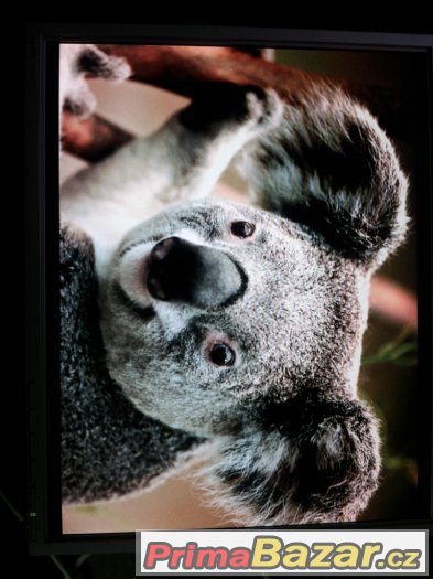Benq FP93G Q9T5 19" – fotografie 3