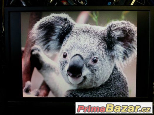 ASUS MW221 u – fotografie 4