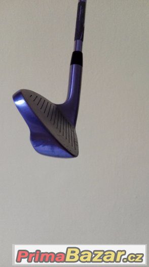 Dunlop Tour - PW – fotografie 2