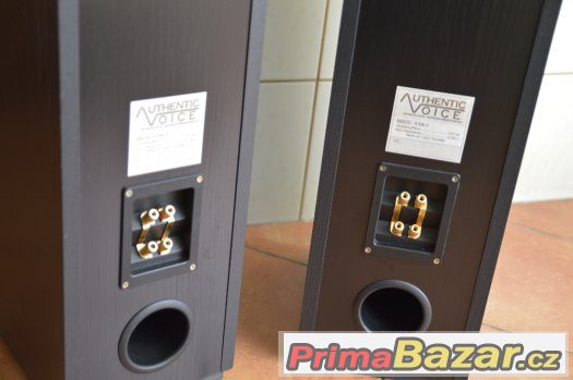 Authentic Voice Magic 4 MkII – fotografie 3
