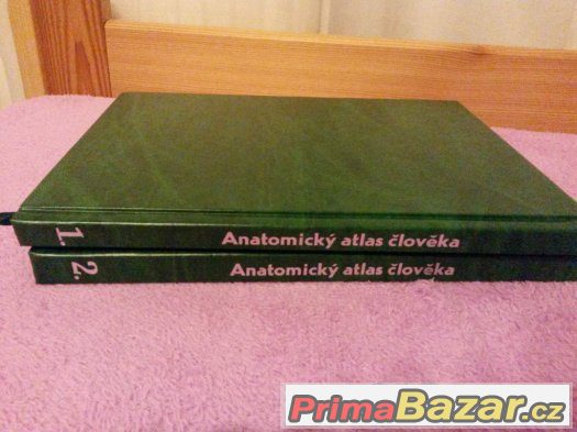 Netterův anatomický atlas člověka - Frank H. Netter – fotografie 2