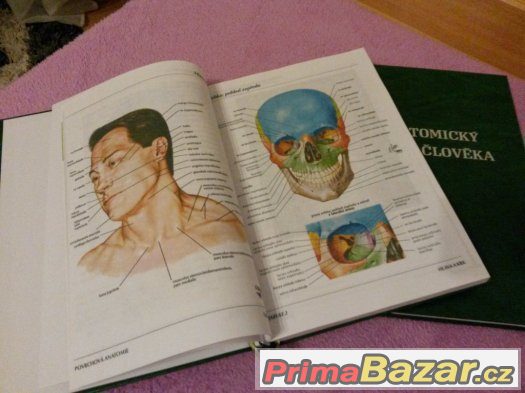Netterův anatomický atlas člověka - Frank H. Netter – fotografie 5