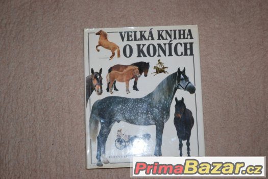 Velká kniha o koních – fotografie 1