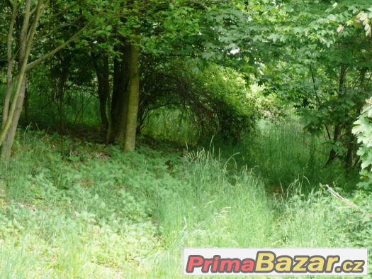 2 krásné lesní parcely v Mnichovicích u Prahy – fotografie 2
