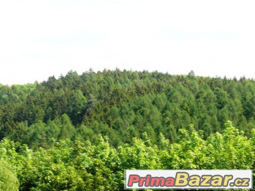 2 krásné lesní parcely v Mnichovicích u Prahy – fotografie 3