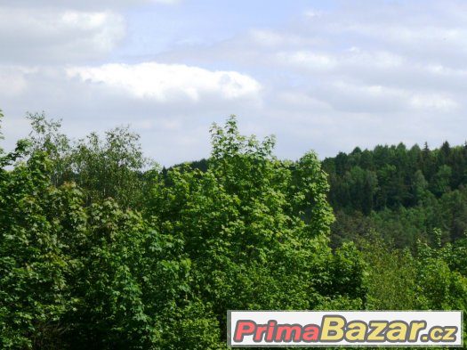 2 krásné lesní parcely v Mnichovicích u Prahy – fotografie 4