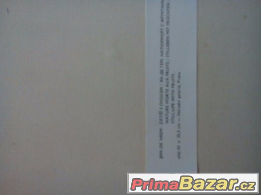 Prodám obraz – fotografie 4