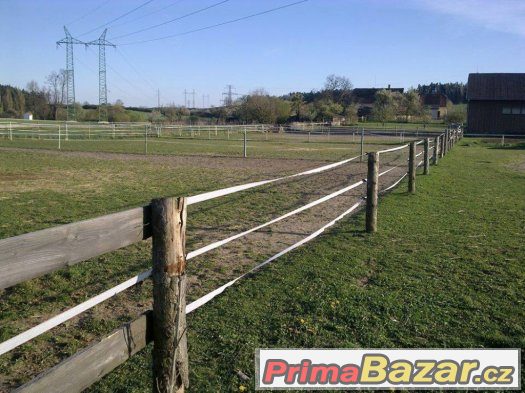 Ustájení s halou, trénink koní, výcvik jezdců – fotografie 5