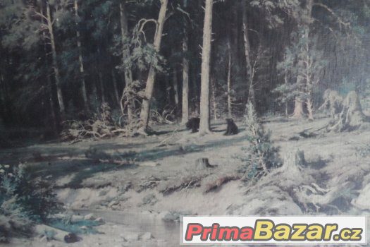 obraz – fotografie 1