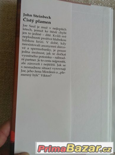 J. Steinbeck - ČISTÝ PLAMEN – fotografie 2