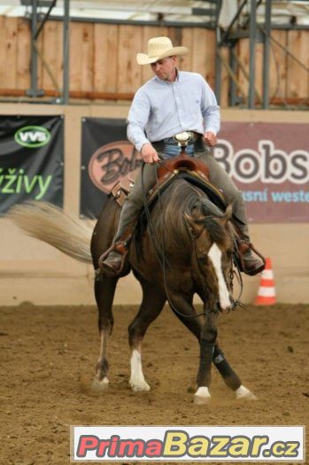 Připouštení Quarter Horse hřebcem A JAC O RIMA – fotografie 2