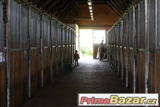 Ustájení s halou, trénink koní, výcvik jezdců – fotografie 3