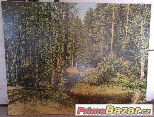 Obraz "Tůň-Brťovsko" Konečný Stanislav – fotografie 1