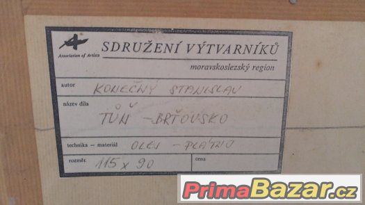 Obraz "Tůň-Brťovsko" Konečný Stanislav – fotografie 2