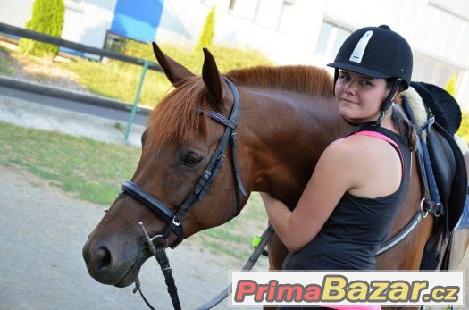 ZDARMA Nabízím ježdění konich obec Zbraslavice – fotografie 5